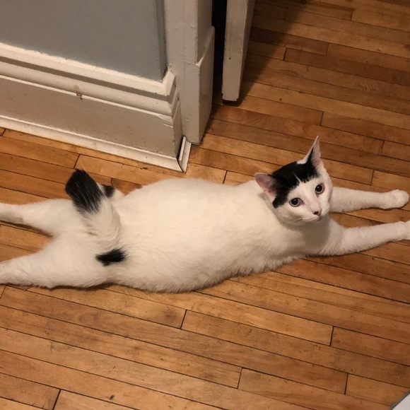 Meet your Posher, Ashlyn - Picture 9 of 10